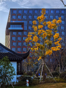 苏州校区风光