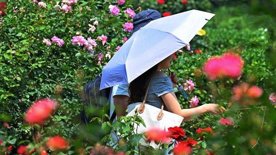 夏季户外活动注意这6点 防暑健身两不误