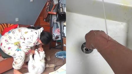 养了8年的猫突然发动攻击，主人的手和胳膊多处被抓伤