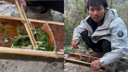 贵州选手野外无火生存20天，一份折耳根野菜沙拉走红网络