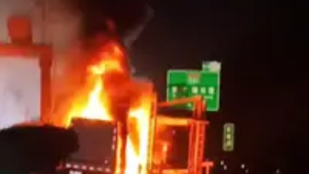 托运车起火全车宠物死亡