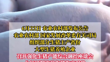 两部门：推动猪价尽快回到合理水平