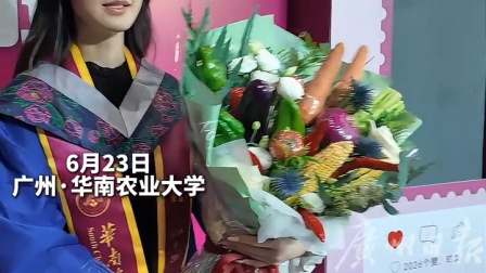 洋葱、胡萝卜等元素