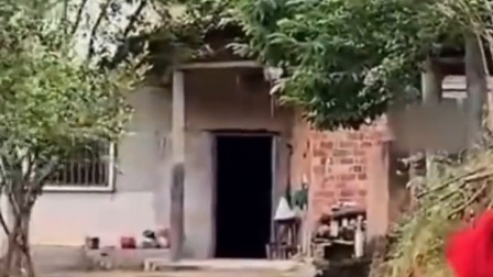 男子博士毕业，专程穿上博士服回老家看奶奶