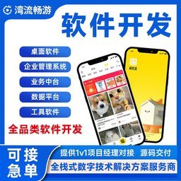 电商商城小程序开发 零售分销拼团带货系统定制与功能部署